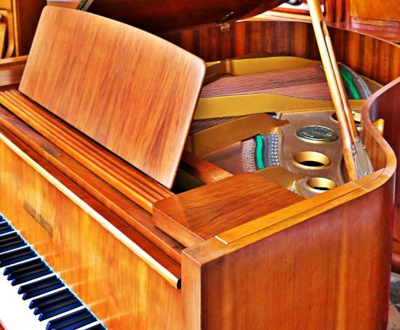 august-forster_vleugel-piano_high-quality-sound-1